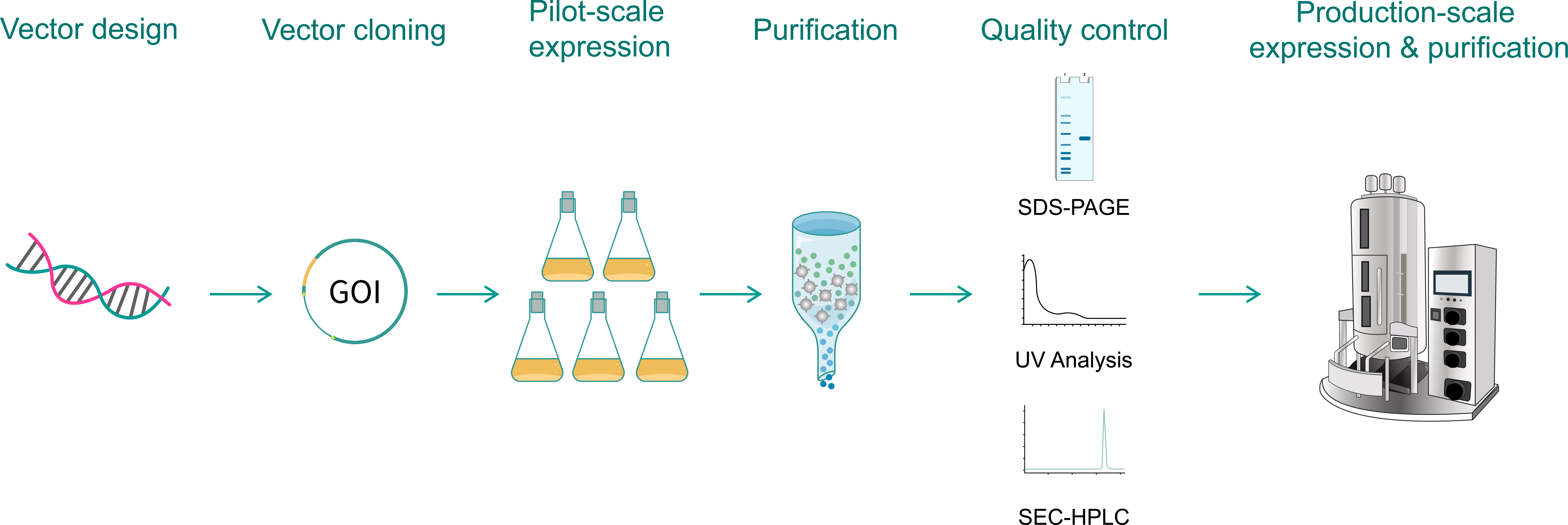 Protein Expression VectorBuilder